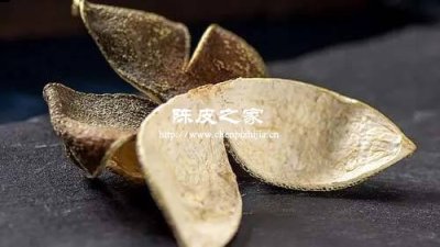 新会梅江陈皮和东甲陈皮哪个产地好