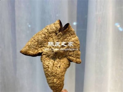 陈皮的药用价值与功效有哪些