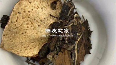 白茶煮陈皮有什么功效