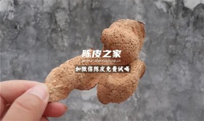 陈皮五年和十年的区别大吗